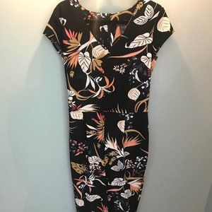 Long Tall Sally Straight Leg Floral Jumpsuit